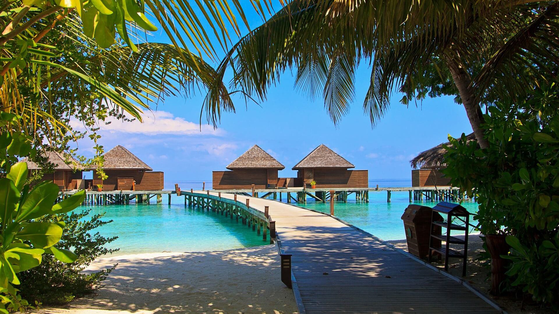 MALDIVES TOUR PACKAGE